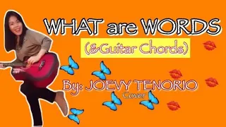 Guitar Chords | WHAT ARE WORDS | JOEVY TENORIO | VLOGs121