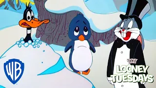 Looney Tuesdays | Winter is Coming ❄️ | Looney Tunes | WB Kids