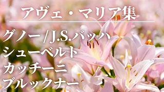 【名曲クラシック】三大アヴェ・マリアで有名な三大作曲家とブルックナーの曲で聴き比べしてみて下さい♪ Ave Maria.  作業用BGM【BGM】