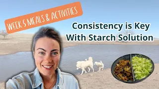 Consistency is Key with Starch Solution: Week 5 Meals and Activities!