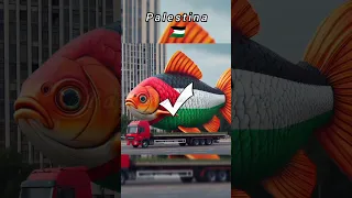 Best fish edit for muslims country #animals #youtubeshorts #shorts