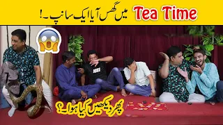 Latest Tea Time | Faisal Ramay told Amazing Facts about Animals | Sajjad Jani Official