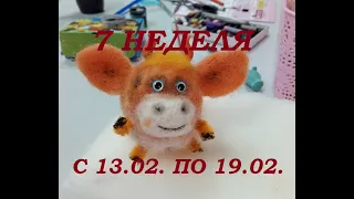 7 неделя 2021г (с 13.02. по 19.02.)