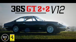FERRARI 365 GT 2+2 1969 LHD Queen Mary | 4K | Drive in top gear with V12 engine sound | SCC TV