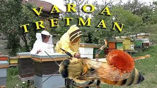 Borba protiv varoe | Kako radim ljetni tretman 1 dio