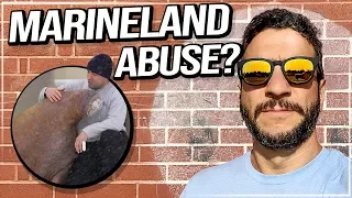Phil Demers vs. Marineland Lawsuit EXPLAINED - Lawyer Reacts - Viva Frei Vlawg
