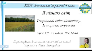 Тваринний світ лісостепу. Історичні перегони Я пізнаю світ  НПП "Інтелект України" урок 175