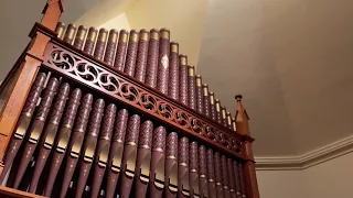 The Wellerman Shanty on a Pipe Organ.  NickXReid