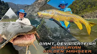 Wild Water Adventures part 53. – Devil Catfish and Golden Mahseer from India
