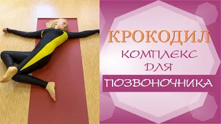 Комплекс упражнений для позвоночника КРОКОДИЛ (полная оригинальная версия)