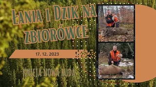 Driven hunt for deer and boars  17. 12. 2023 - Knieja Nowa Ruda