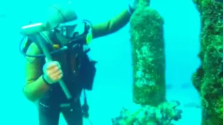 Man Goes Underwater And Rings Submerged Shrine’s Bell. What He Summons Will Leave You Jaw Dropped