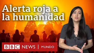 5 revelaciones del informe de la ONU sobre cambio climático y qué dice sobre América Latina