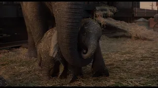 Disney's Dumbo | Wonder Trailer