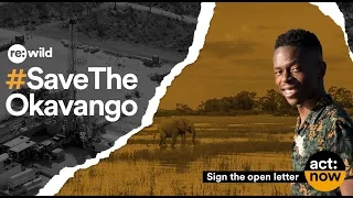 #SaveTheOkavango