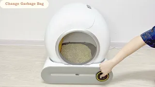 How to Set up the Comfipaws Automatic Self-Cleaning Litter Box? Everything You Need to Know