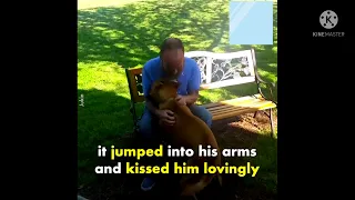 Dog Doesn't Recognize Owner After Weight Loss,Until He Sniffs(smell) Him. #shorts #trending #viral