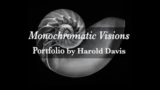 Monochromatic Visions | Black & White Portfolio by Harold Davis