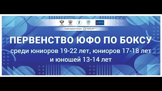 Первенство ЮФО по боксу среди юниоров 19-22 и 17-18 лет, юношей 13-14 лет. Волгоград. День 5.