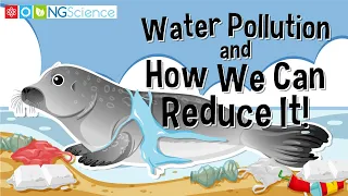 Water Pollution and How We Can Reduce It!