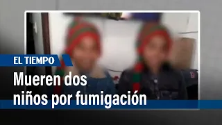 Dos hermanos de 11 y 9 años murieron por fumigación en una bodega | El Tiempo