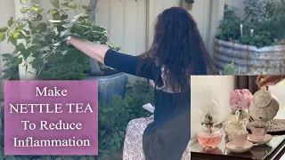 Make Stinging Nettle Tea / Healing Benefits & Ritual / Anti Inflammatory Herbal Tea Recipe
