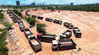 OMG! Fantastic 25.5ton Dump Trucks Management Transporting Huge Stones Pushing By Komatsu Dozers