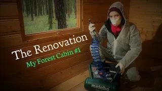 🌳🏡🌲Forest Cabin🦊 #1 Tiny House - The Renovation begins - Vanessa Blank - 4 K