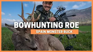 BOWHUNTING HUGE ROE BUCK SPOT AND STALK 🔥 EXTRA TIME 🔥 ROE DEER HUNT IN SPAIN WITH A BOW