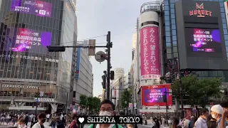 Xiao Zhan Budweiser MEX CM at SHIBUYA シャオジャンバドワイザー新商品CMビジョン 渋谷スクランブル交差点4基スクリーン