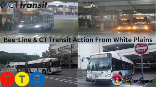 MTA/Bee-Line Bus Action in Fordham & Bee-Line/CT Transit Bus Action @ White Plains Transit Center