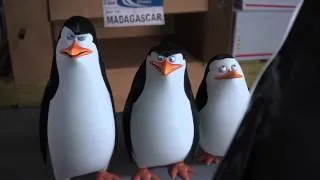 DIE PINGUINE AUS MADAGASCAR - Trailer (Deutsch) | HD