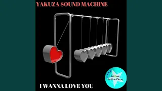 I Wanna Love You (David Kinnard Remix)