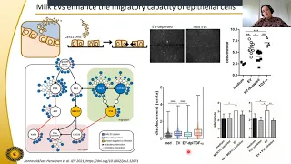 Deciphering the physiological role of extracellular vesicles in breast milk by Marca Wauben