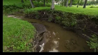 Flying over the Creek (FPV)