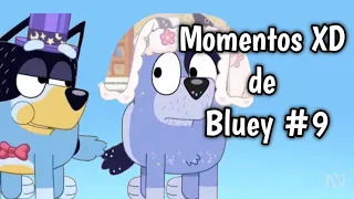 Momentos XD de Bluey #9 | Caballito