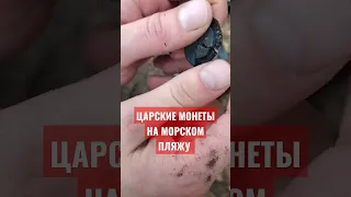 Шторм намыл царских монет на Балтийском пляже