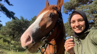 ARAP ATIM İLE YAYLA SAFARİSİ - ACEMİ AT BENİ KORKUTUYOR 😟