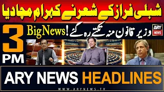 ARY News 3 PM Prime Time Headlines 24th May 2024 | Senate may KHAN ki goonj