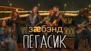 Пегасик [Зилков ае Бэнд] MuzClass Live