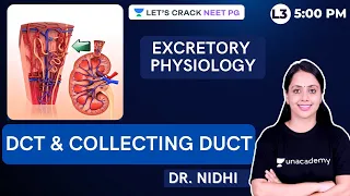 Excretory Physiology | DCT & Collecting Duct | NEET PG 2021 | Dr. Nidhi