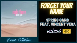 Forget your Name - Spring Gang- Vincent Vega - With Videos 4K