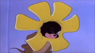 Tom and Jerry flower joke