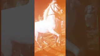 horse dance | Traditional Pakistani wedding horse dance | Sistrology