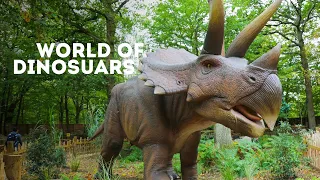 Welcome to the World of Dinosaurs