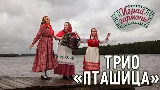 Играй, гармонь! | Трио «Пташица» (г. Санкт-Петербург) | Липецкая матаня