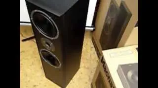 Magnat Monitor Supreme 800 акустика напольная