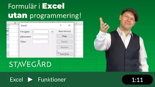 Formulär i Excel utan programmering