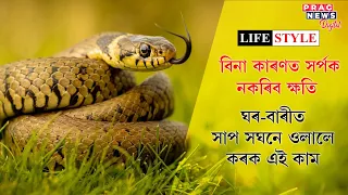 বিনা কাৰণত সৰ্পক নকৰিব ক্ষতি | ঘৰ-বাৰীত সাপ সঘনে ওলালে কৰক এই কাম