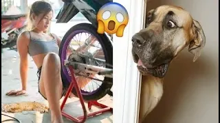 New Funny and Fail Videos 2023 😂 Cutest People Doing Funny Things 😺😍 P12